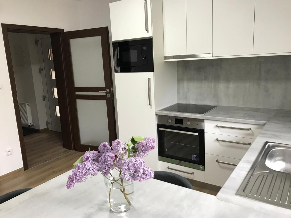 Apartmán NA KOPCI Krucemburk Bagian luar foto