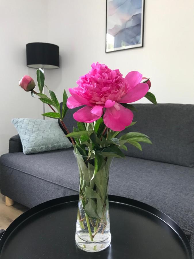 Apartmán NA KOPCI Krucemburk Bagian luar foto